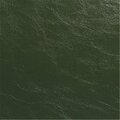 Glaze 100 Percent Polyvinyl Chloride Fabric, Landscape GLAZE106